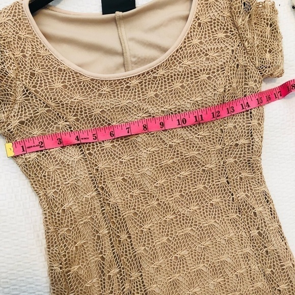 Rosegold Petite Tan Net Lace Overlay Dress - Picture 11 of 14